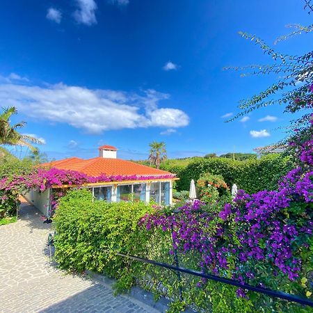 Terra Vivaz - Ribeira Cottage 大里贝拉 外观 照片