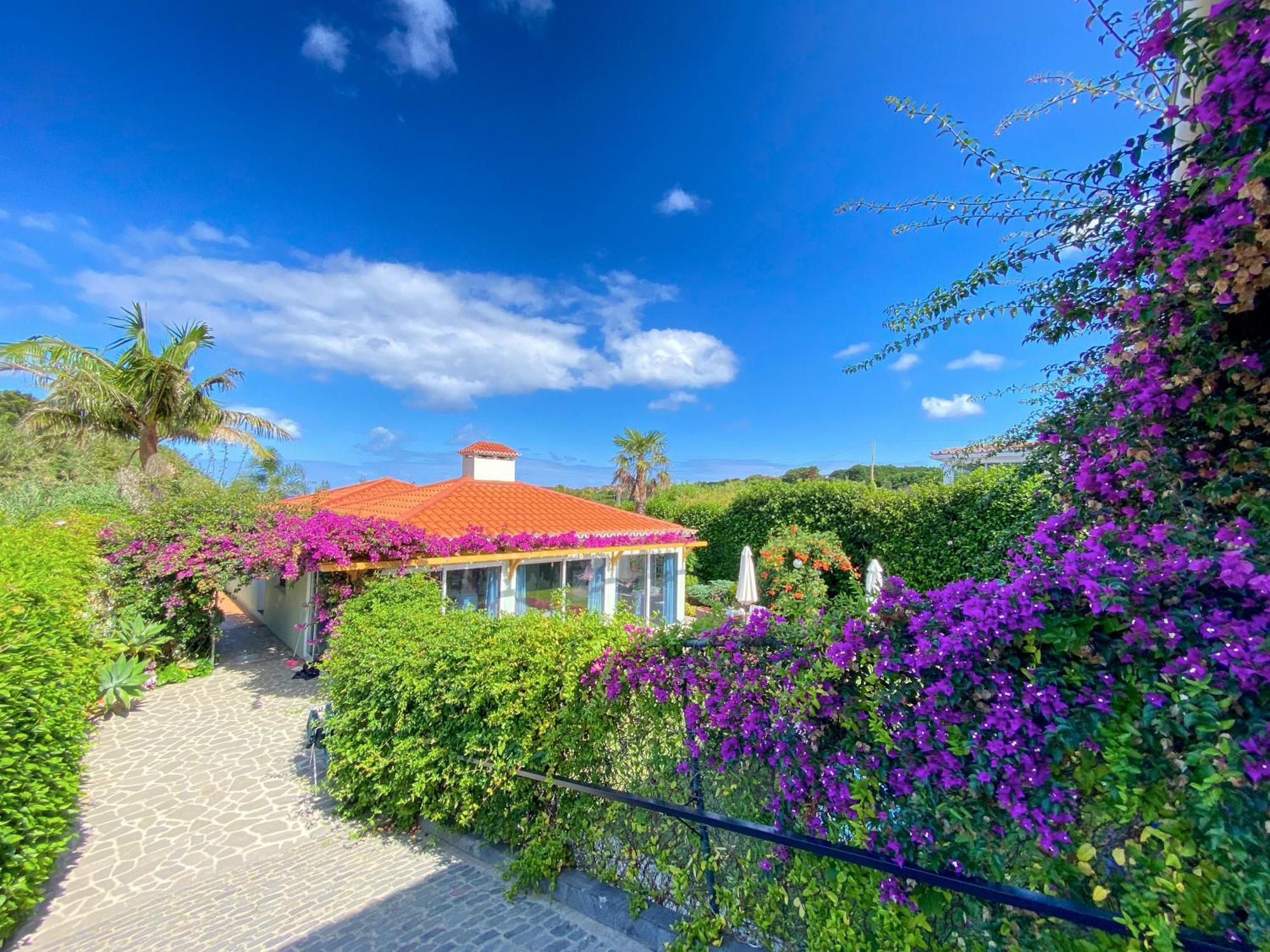 Terra Vivaz - Ribeira Cottage 大里贝拉 外观 照片