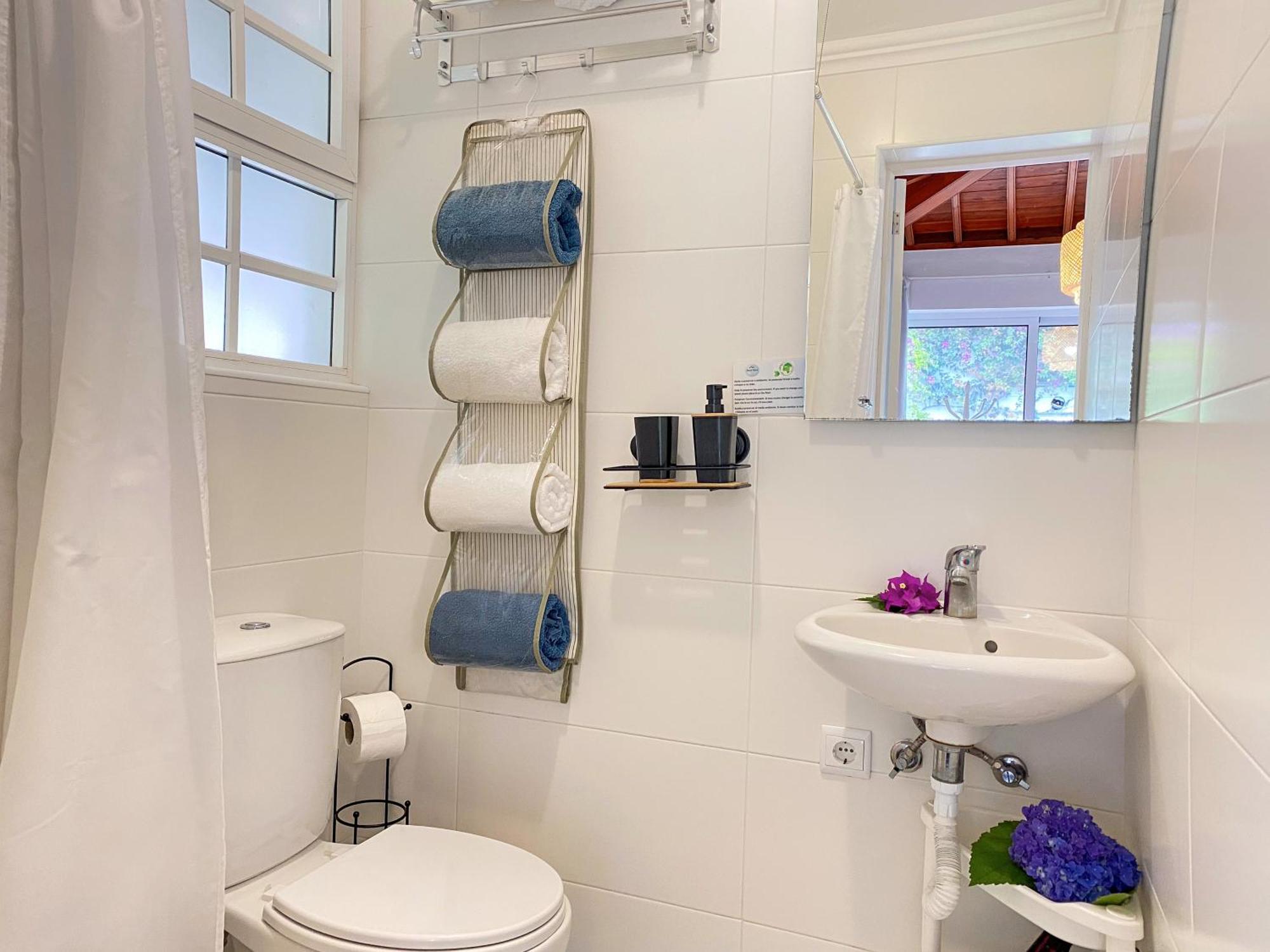Terra Vivaz - Ribeira Cottage 大里贝拉 外观 照片